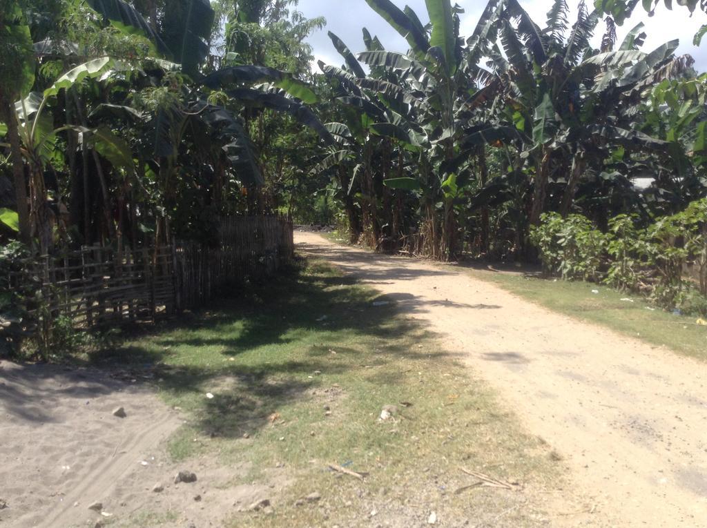 Rasti Homestay Kuta  Exteriör bild